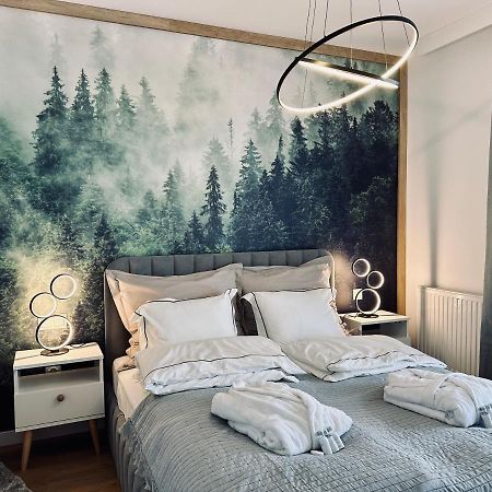 Mountain Shine - Apartment, Spa And Parking Zakopane Exterior foto